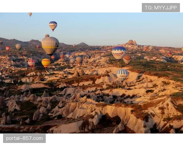 动态：多位教练呼吁联盟重新审视常规赛最后阶段背靠背赛程安排